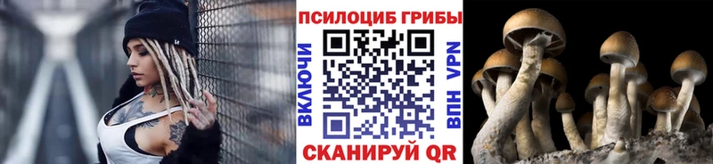 Галлюциногенные грибы Cubensis  Киржач 